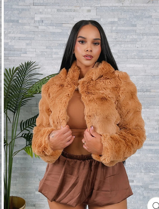 Plush Faux Fur Cropped Jacket with hood